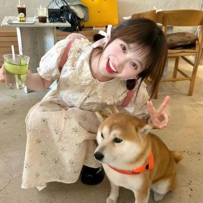 南茅北马