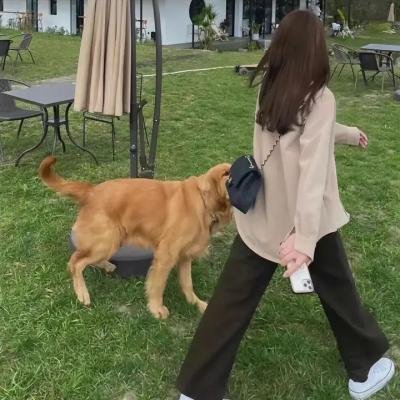 母性之光